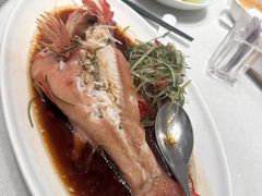 -新吉士·上海菜(浦东LCM置汇旭辉店)