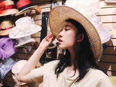 -尼亚加拉瀑布州立公园