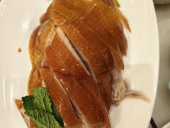 鸭匠果木烤鸭-鸭匠食府·挂炉烤鸭·新京菜(阜成路店)