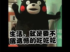 -新五爱道夜市