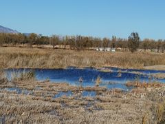 -野鸭湖国家湿地公园