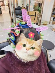 点击看大图 -HD HAIR STYLE