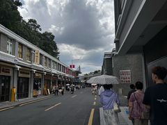 -长洲岛