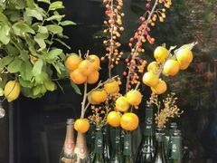 -Oyster Talks 四度蚝法餐厅