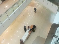 -沈阳HAI乐园