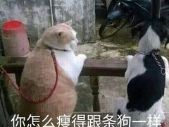-萌兽医馆·绝育·24小时内科·宠物医院(德胜店)