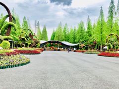 -东平国家森林公园