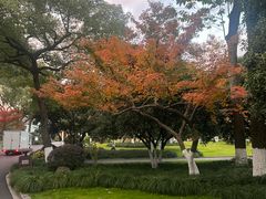 -浙江西子宾馆·瑶园咖啡厅