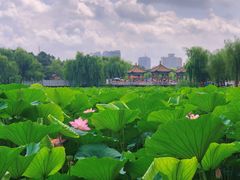 -长春市南湖公园