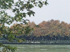 -运河游船(武林门码头)