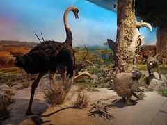 -国家自然博物馆