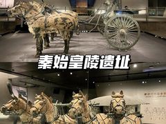 -秦始皇帝陵博物院-丽山园