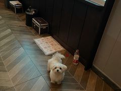 -和子足浴SPA会馆(东方之门店)