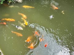 -檀园