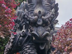 -杭州植物园