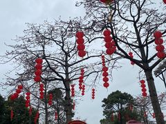 -广州莲花山旅游区