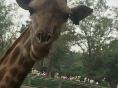 -石家庄市动物园