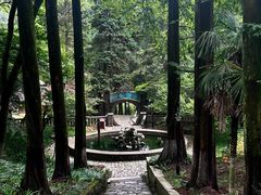 -莫干山风景区