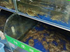 -阳澄湖大闸蟹·琼灵阁牌品牌连锁(吴中总店)