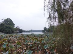 -巴山·烤全羊(高新总店)