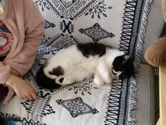 -平行世界·猫咖(首经贸店)