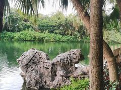 -星湖旅游景区七星岩