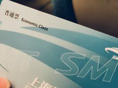 -龙阳路磁悬浮列车总站-停车场