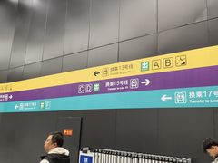-望京西(地铁站)