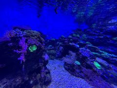 -成都浩海立方海洋公园