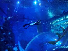 -成都浩海立方海洋公园