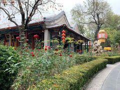 -白家大院·王府宫廷菜(苏州街店)