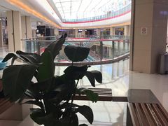 -莲花国际广场
