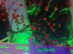 -庭院江南菜•烤鸭•非遗传承(丰台总部基地店)