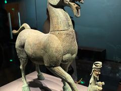 -广西壮族自治区博物馆