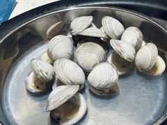 珍珠贝-青蓬海上捞蒸品海鲜城(海岸城店)