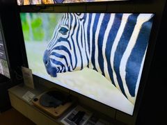 -顺电sundan(颐堤港店)