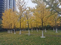 -仁恒辉盛阁酒店公寓