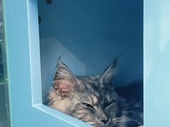 -FAELING PETS美天灵宠物(合生汇店)