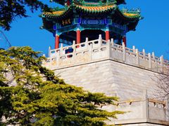 -兴隆文化园景区-兖州博物馆