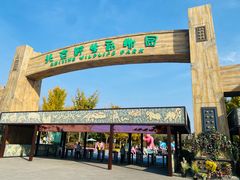 -北京野生动物园