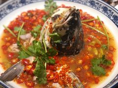 -湘潭九龙鱼头店(城南西路店)