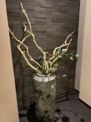 -盘子女人坊古装写真摄影(天津总店)