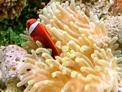 景点-嘉兴海底世界