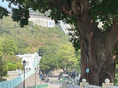 -龙环葡韵住宅式博物馆