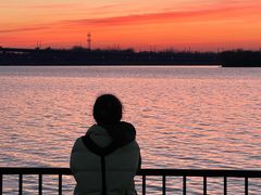 -丁香湖公园