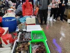 -朝陽市場