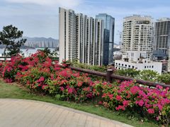 -狐尾山公园