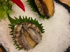 小鲍鱼-尚海豆捞(乐虹坊店)