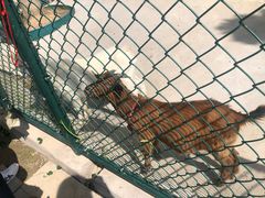 -上海滴水湖皇冠假日酒店