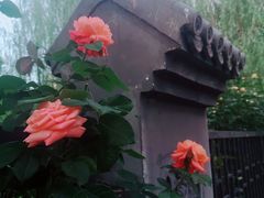 -丰台花园